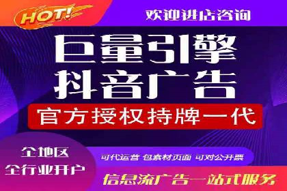 百度竞价广告投放数据分析